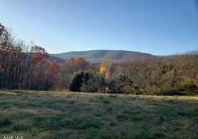 687 Beaver Dam Road, Claysburg, Bedford, Pennsylvania, United States 16625, ,Residential,For sale, Beaver Dam Road,1305