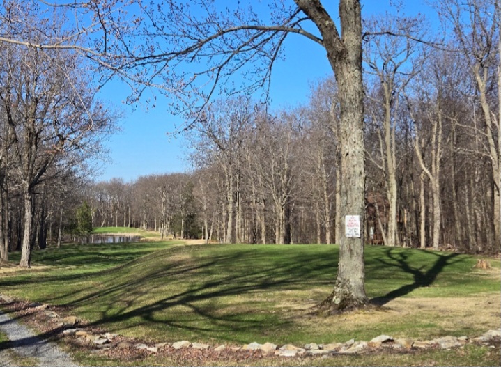203 E Valley Point Lane #C1101, Claysburg, Bedford, Pennsylvania, United States 16625, ,Blue Knob Condo,For sale,E Valley Point Lane #C1101,1360