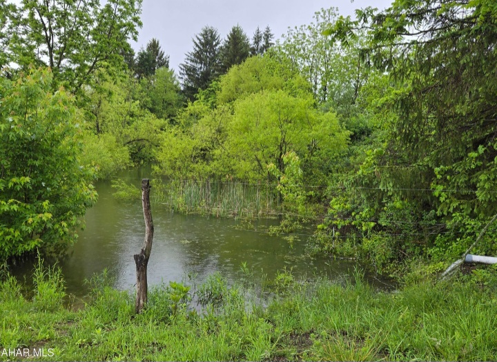 563 Lock Mountain Road, Martinsburg, Blair, Pennsylvania, United States 16662, ,Residential,For sale,Lock Mountain Road,1364 563 Lock Mountain Road, Martinsburg, Blair, Pennsylvania, United States 16662, ,Residential,For sale,Lock Mountain Road,1364