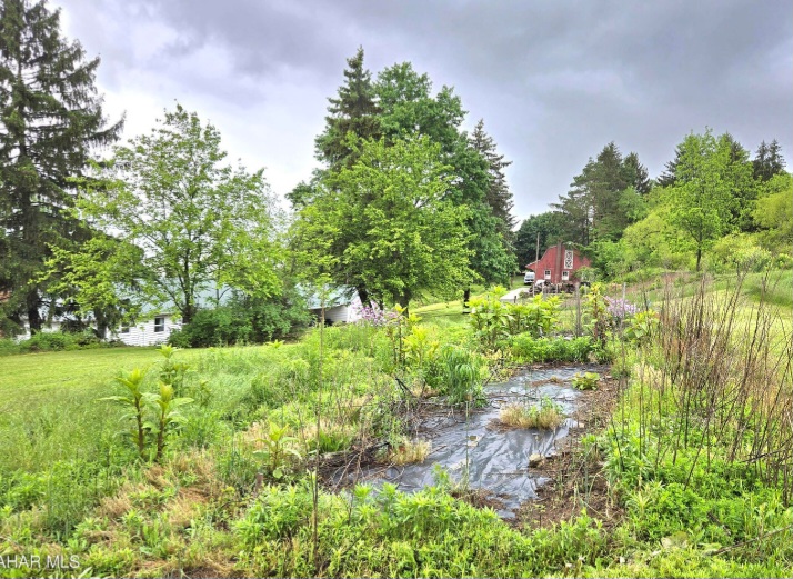 563 Lock Mountain Road, Martinsburg, Blair, Pennsylvania, United States 16662, ,Residential,For sale,Lock Mountain Road,1364 563 Lock Mountain Road, Martinsburg, Blair, Pennsylvania, United States 16662, ,Residential,For sale,Lock Mountain Road,1364