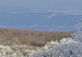 139 E Valley Point Lane #1321 Extrovert, Claysburg, Bedford, Pennsylvania, United States 16625, ,Blue Knob Condo,For sale,E Valley Point Lane #1321 Extrovert,1377