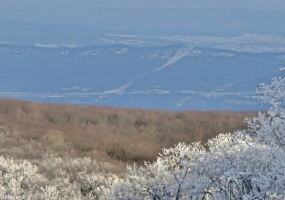 215 E Valley Point #C-901, Claysburg, Bedford, Pennsylvania, United States 16625, ,Blue Knob Condo,For sale, E Valley Point #C-901,1378