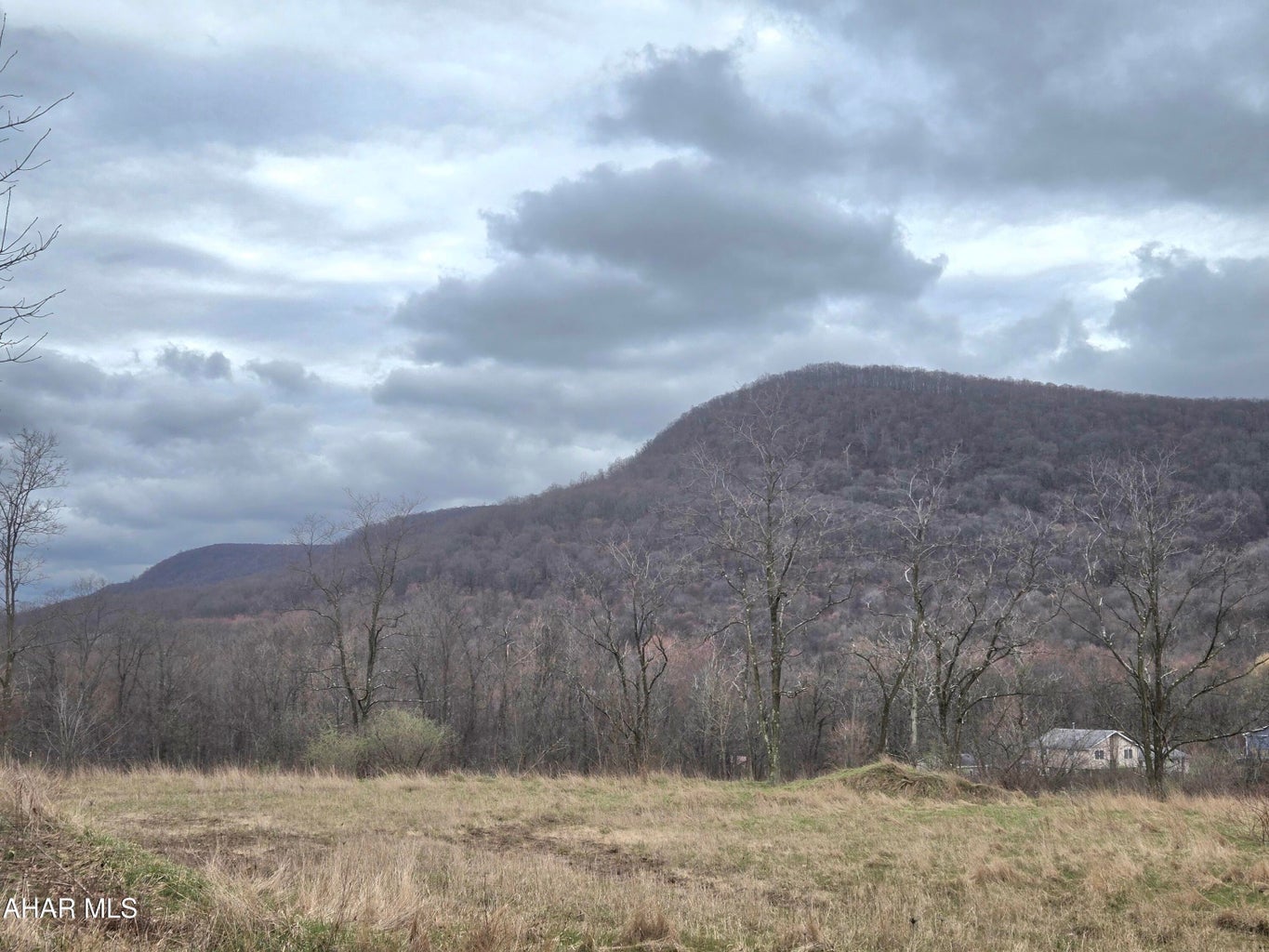 Longview Drive #2-5-6-24, Duncansville, Blair, Pennsylvania, United States 16635, ,Land,For sale,Longview Drive #2-5-6-24,1382