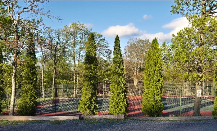 8150 Summit Way 6b Pine Cone, Claysburg, Blair, Pennsylvania, United States 16625, ,Blue Knob Condo,For sale,Summit Way 6b Pine Cone,1385