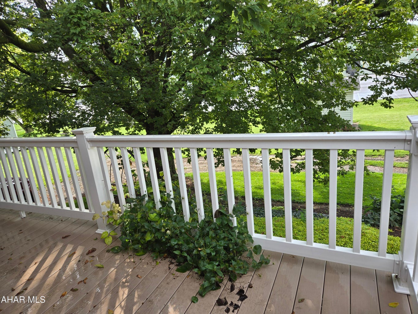 325 Bassler St, Martinsburg, Blair, Pennsylvania, United States 16662, 0 , 0 ,0,Residential,For sale,Bassler St,0,1395 325 Bassler St, Martinsburg, Blair, Pennsylvania, United States 16662, 0 , 0 ,0,Residential,For sale,Bassler St,0,1395